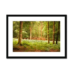 Forest 13 Framed & Mounted Print