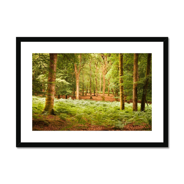 Forest 13 Framed & Mounted Print