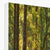 Forest 15 Canvas