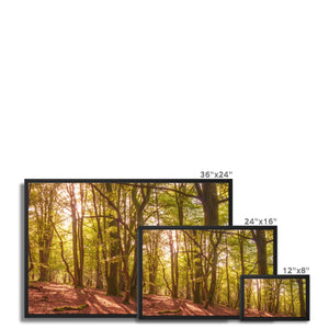 Forest 9 Framed Canvas