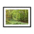 Puckpits valley 1 Framed & Mounted Print