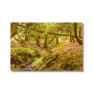 Forest 6 Canvas