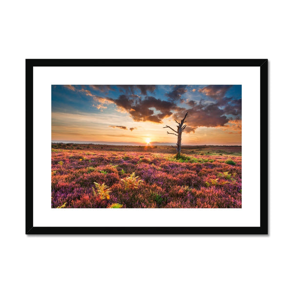 Sunset 2 Framed & Mounted Print