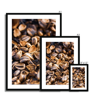 Sun Flower seeds 1 Framed & Mounted Print