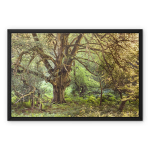 Mark ash wood Framed Canvas