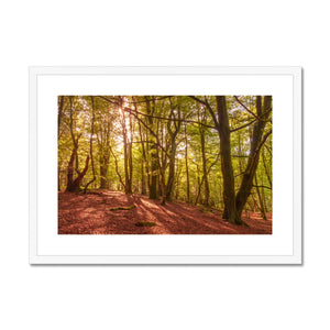 Forest 9 Framed & Mounted Print