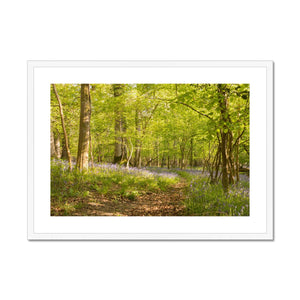 Bluebell path Framed & Mounted Print