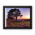 Forest 25 Framed Canvas