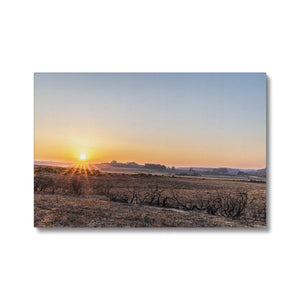 Sunset heath Canvas