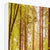 Forest 5 Canvas