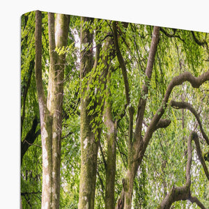 Green forest landscape