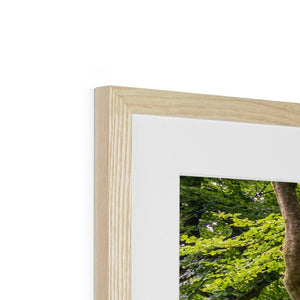 Green forest landscape