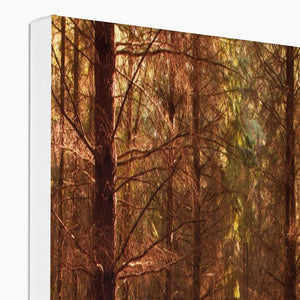 Forest 16 Canvas