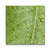 Leaf Macro 5 Canvas