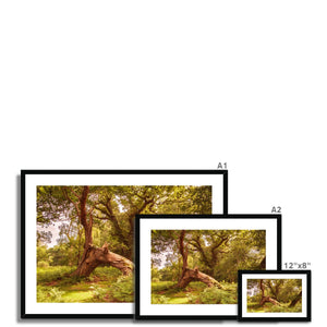 Forest 4 Framed & Mounted Print