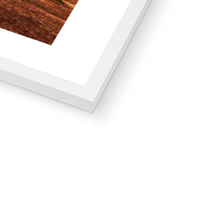 In the Shadow of Trees