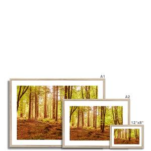 Forest 7 Framed & Mounted Print