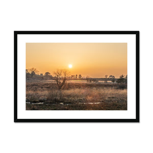 Sun reeds Framed & Mounted Print