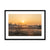 Sun reeds Framed & Mounted Print