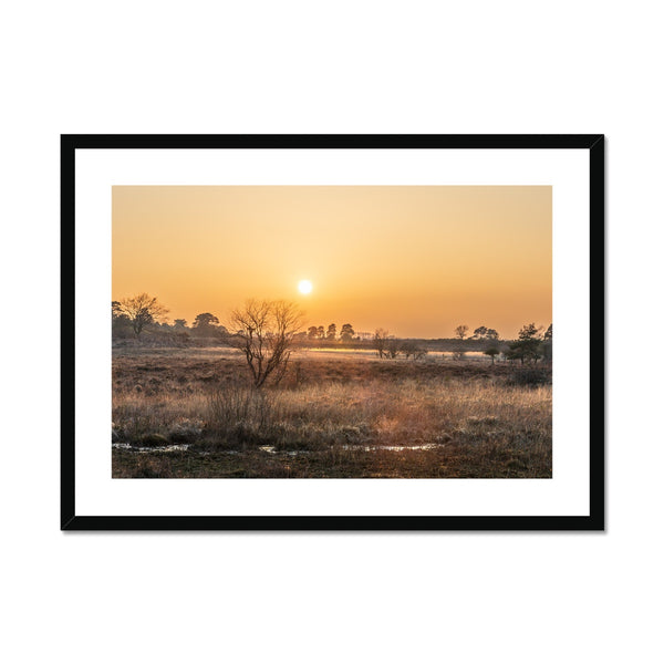 Sun reeds Framed & Mounted Print