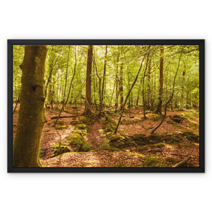 Forest 8 Framed Canvas