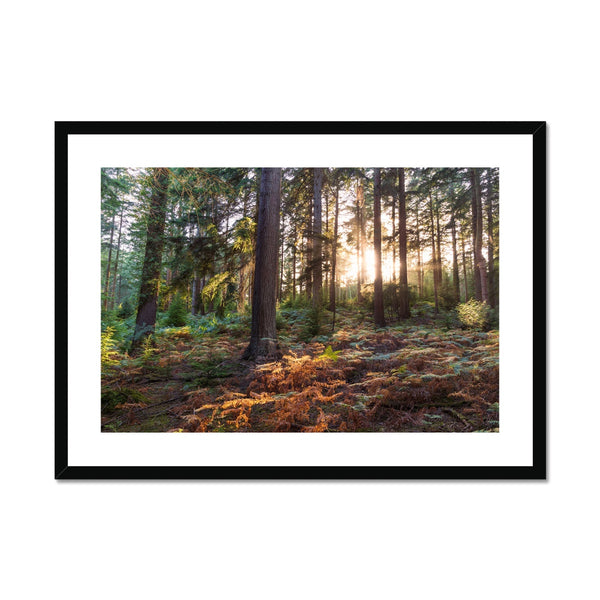 Wilverly at sunset Framed & Mounted Print