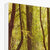 Forest 10 Canvas