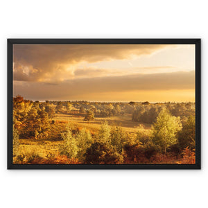 Forest 20 Framed Canvas