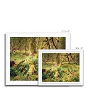 Forest 22 Framed Print