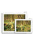 Forest 22 Framed Print