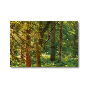 Forest 15 Canvas