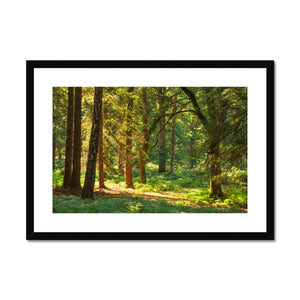 Forest 15 Framed & Mounted Print