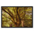 Forest 1 Framed Canvas