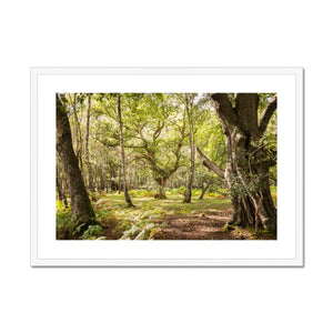 White moor Framed & Mounted Print