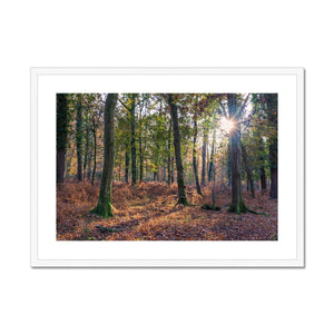 Catching light Framed & Mounted Print