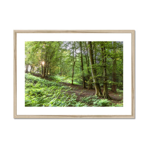 Puckpits valley 2 Framed & Mounted Print