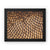 Sun Flower seeds 5 Framed Canvas