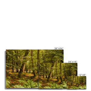 Forest 3 Canvas