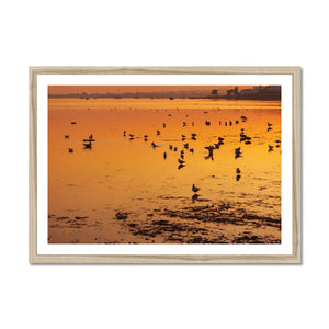 Sunset 6 Framed Print