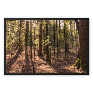 Casting shadows Framed Canvas