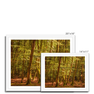 Forest 26 Framed Print