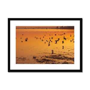 Sunset 6 Framed & Mounted Print