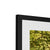 Forest 13 Framed & Mounted Print