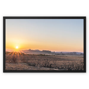 Sunset heath Framed Canvas