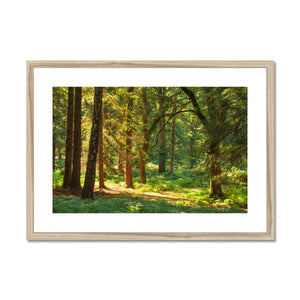 Forest 15 Framed & Mounted Print