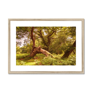 Forest 4 Framed & Mounted Print