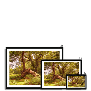 Forest 4 Framed Print