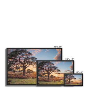 Scrape bottom sunset Framed Canvas