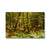 Forest 3 Canvas