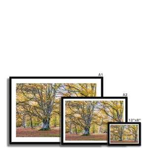 Church moor Framed Print